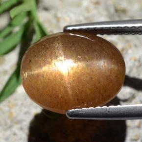 Pietra solare stellare Marrone dorato naturale da 6,67 ct, Taglio ovale, Opaco
