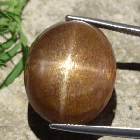 Pietra del sole stellata marrone dorato naturale da 39,02 ct, taglio ovale, opaco