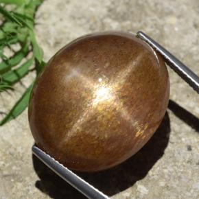Pietra del sole stellata marrone dorato naturale da 39,02 ct, taglio ovale, opaco