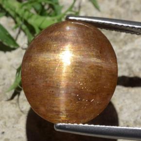 Pietra solare stellare Marrone dorato naturale da 12.29 ct, Taglio ovale, Opaco