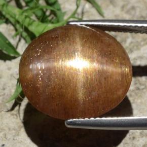 Pietra solare stellare Marrone dorato naturale da 12.29 ct, Taglio ovale, Opaco