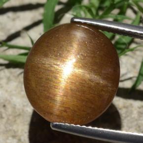 Pietra solare stellare Marrone dorato naturale da 12.58 ct, Taglio ovale, Opaco