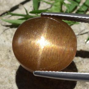 Pietra solare stellare Marrone dorato naturale da 12.58 ct, Taglio ovale, Opaco