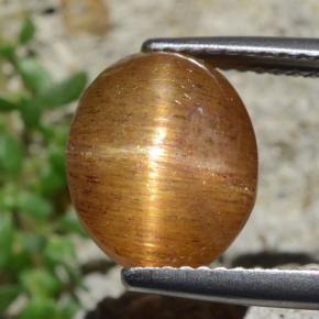 Pietra solare stellare Marrone dorato naturale da 4.53 ct, Taglio ovale, Opaco