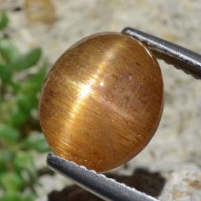 Pietra solare stellare Marrone dorato naturale da 4.53 ct, Taglio ovale, Opaco