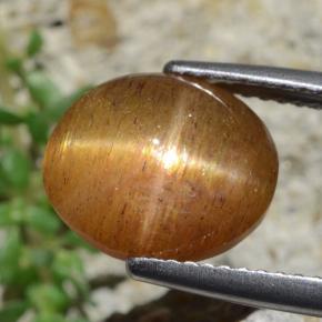 Pietra solare stellare Marrone dorato naturale da 4.53 ct, Taglio ovale, Opaco