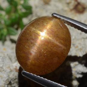 Pietra solare stellare Marrone dorato naturale da 7.27 ct, Taglio ovale, Opaco
