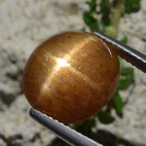 Pietra solare stellare Marrone dorato naturale da 8.30 ct, Taglio ovale, Opaco