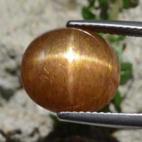 Pietra solare stellare Marrone dorato naturale da 8.30 ct, Taglio ovale, Opaco