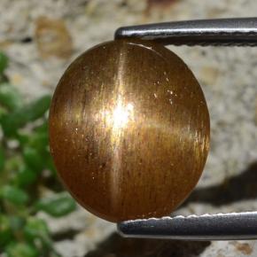 Pietra del sole stellata Marrone dorato naturale da 4,93 ct, Taglio ovale, Opaco
