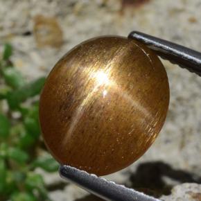 Pietra del sole stellata Marrone dorato naturale da 4,93 ct, Taglio ovale, Opaco