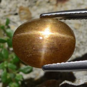Pietra del sole stellata Marrone dorato naturale da 4,93 ct, Taglio ovale, Opaco