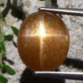 Pietra solare stellare Marrone dorato naturale da 5.40 ct, Taglio ovale, Opaco