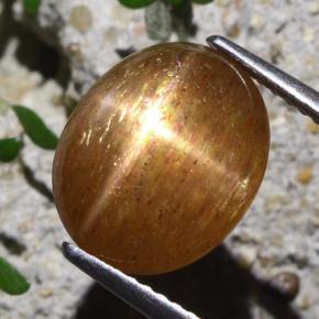 Pietra solare stellare Marrone dorato naturale da 5.40 ct, Taglio ovale, Opaco