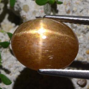 Pietra solare stellare Marrone dorato naturale da 5.40 ct, Taglio ovale, Opaco