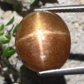 Pietra solare stellare Marrone dorato naturale da 9.51 ct, Taglio ovale, Opaco