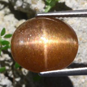Pietra solare stellare Marrone dorato naturale da 9.51 ct, Taglio ovale, Opaco