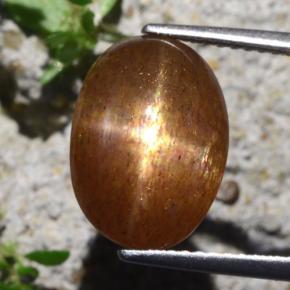 Pietra del sole stellata naturale marrone da 6,29 ct, taglio ovale, opaco