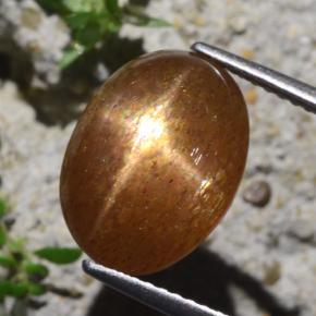 Pietra del sole stellata naturale marrone da 6,29 ct, taglio ovale, opaco