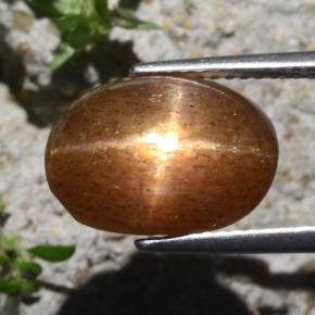 Pietra del sole stellata naturale marrone da 6,29 ct, taglio ovale, opaco