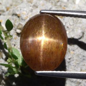 Pietra solare stellare Marrone dorato naturale da 7.04 ct, Taglio ovale, Opaco