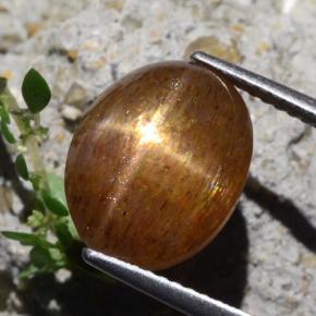 Pietra solare stellare Marrone dorato naturale da 7.04 ct, Taglio ovale, Opaco