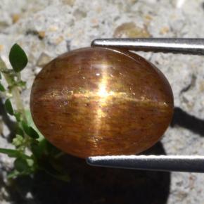 Pietra solare stellare Marrone dorato naturale da 7.04 ct, Taglio ovale, Opaco