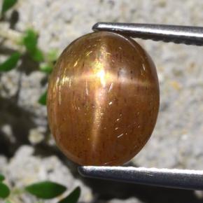 Pietra del sole stellata marrone dorato naturale da 4,31 ct, taglio ovale, opaco