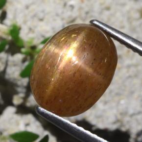 Pietra del sole stellata marrone dorato naturale da 4,31 ct, taglio ovale, opaco