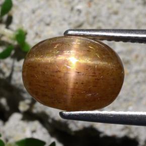 Pietra del sole stellata marrone dorato naturale da 4,31 ct, taglio ovale, opaco