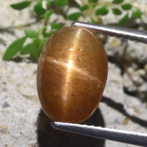 Pietra solare stellare Marrone dorato naturale da 5.66 ct, Taglio ovale, Opaco