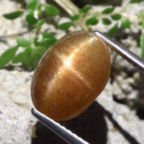 Pietra solare stellare Marrone dorato naturale da 5.66 ct, Taglio ovale, Opaco
