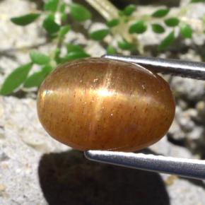 Pietra solare stellare Marrone dorato naturale da 5.66 ct, Taglio ovale, Opaco