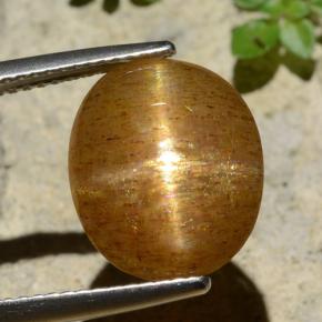 Pietra solare stellare Marrone dorato naturale da 6.61 ct, Taglio ovale, Opaco