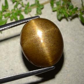 Pietra solare stellare Marrone dorato naturale da 16.93 ct, Taglio ovale, Opaco