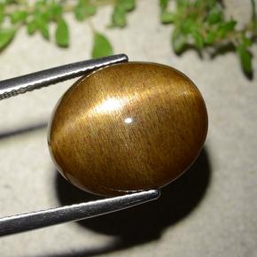 Pietra solare stellare Marrone dorato naturale da 16.93 ct, Taglio ovale, Opaco