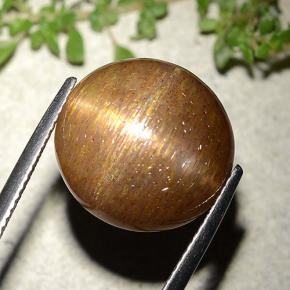 Pietra solare stellare Marrone dorato naturale da 15.15 ct, Taglio rotondo, Opaco