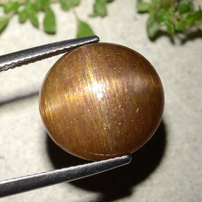 Pietra solare stellare Marrone dorato naturale da 15.15 ct, Taglio rotondo, Opaco