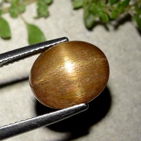 Pietra solare stellare Marrone dorato naturale da 6.21 ct, Taglio ovale, Opaco