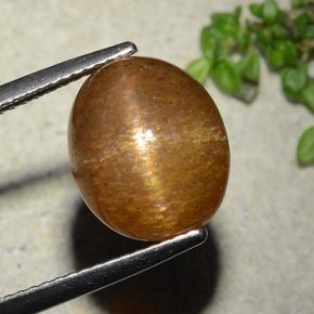 Pietra solare stellare Marrone dorato naturale da 7.51 ct, Taglio ovale, Opaco