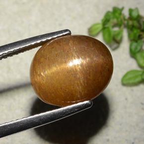 Pietra solare stellare Marrone dorato naturale da 7.51 ct, Taglio ovale, Opaco