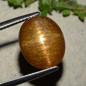 Pietra del sole stellata marrone dorato naturale da 8,81 ct, taglio ovale, opaco
