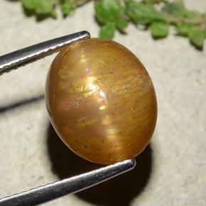 Pietra del sole stellata naturale dorato da 8,25 ct, taglio ovale, opaco