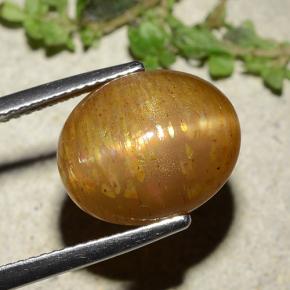 Pietra del sole stellata naturale dorato da 8,25 ct, taglio ovale, opaco