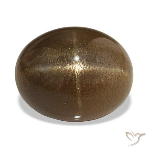 13.92ct Caffè Marrone Pietra solare stellare, Ovale, Opaco