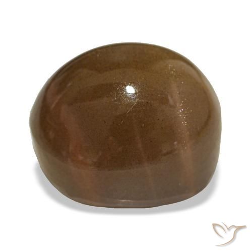 Pietra solare stellare Marrone terroso naturale da 19.00 ct, Taglio ovale, Opaco