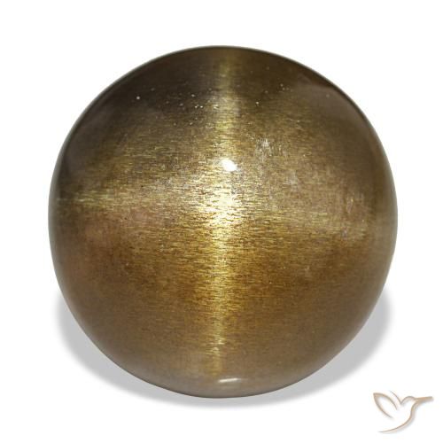 Pietra solare stellare Marrone chiaro naturale da 18.17 ct, Taglio rotondo, Opaco