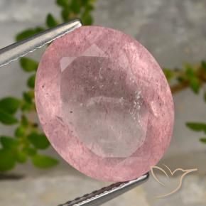 Quarzo fragola Rosa chiaro naturale da 8.28 ct, Ovale, Traslucido