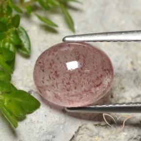 Quarzo fragola Rosa medio-chiaro naturale da 3.65 ct, Ovale, Traslucido