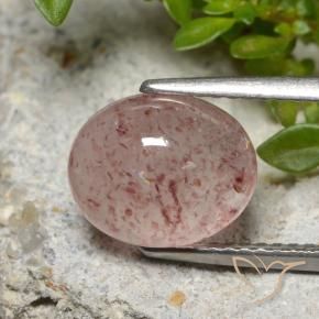 Quarzo fragola Rosa medio naturale da 3.66 ct, Ovale, Traslucido
